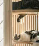 gimnasio en madera para gatos cooper_2